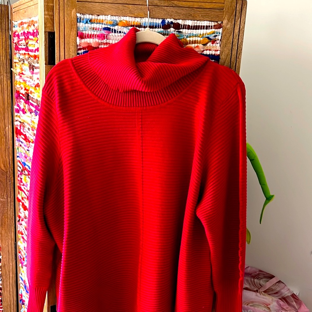 Plus red sweater